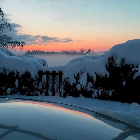 Au Chalet Bain Nordique Neuf Independant Calme Assure Haselbourg Eksteriør billede