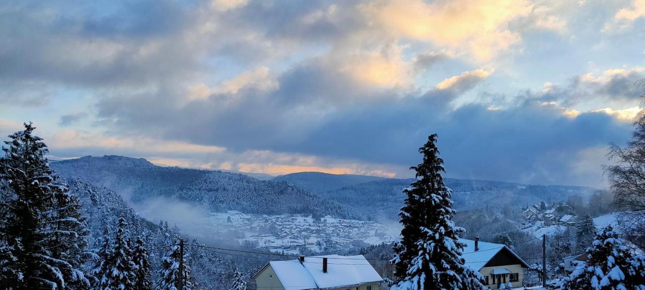 Au Chalet Bain Nordique Neuf Independant Calme Assure Haselbourg Eksteriør billede